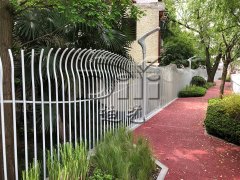 client-img